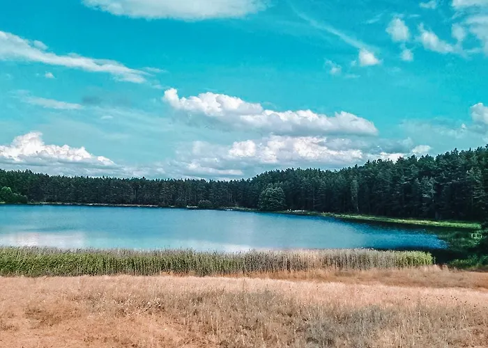 Gospodarstwo agroturystyczne Lawendowy Poranek *