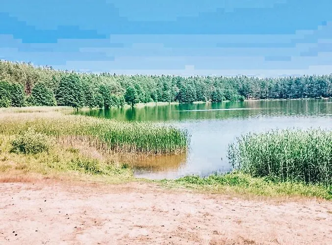 Gospodarstwo agroturystyczne Lawendowy Poranek Wąglikowice